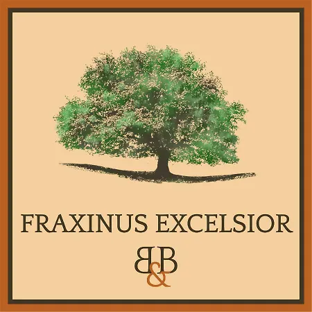 Frühstückspension Fraxinus Excelsior